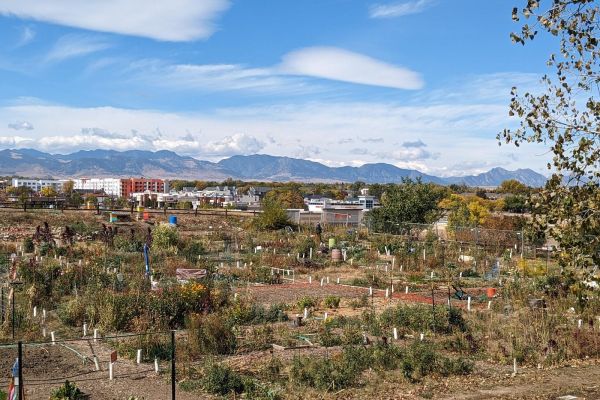 Arvada Community Garden