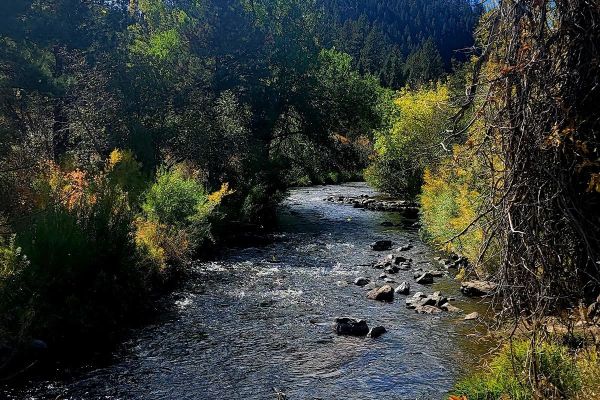 Lair o’ the Bear Park