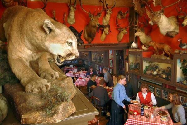 Buckhorn Exchange Restaurant