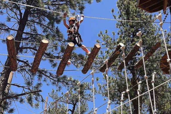 Treehouse Adventure Park