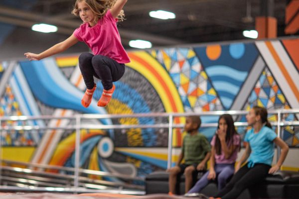 Sky Zone Trampoline Park