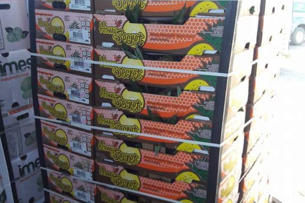 EL JEFAZZO PRODUCE
